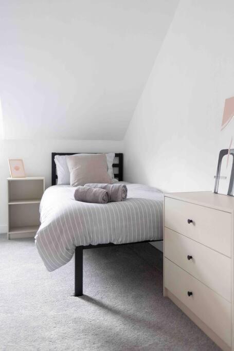 Charming 3 Bedroom Belfast Townhouse Dış mekan fotoğraf